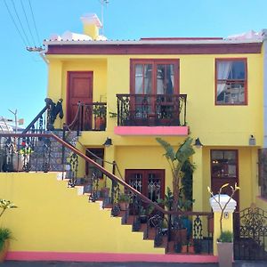 Ami Vine House